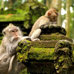 Kera Sakti (SunGoKong OST)