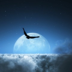 Shakatak - Night Birds [IPtiga Remix]