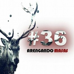 Peter Rufian - Arengando Masas 36 (2015 - 12 - 17)