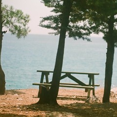 Ezginin günlüğü - Uzun Dere Bari