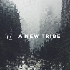 "A New Tribe" - Promotional Mix By Mister Shifter