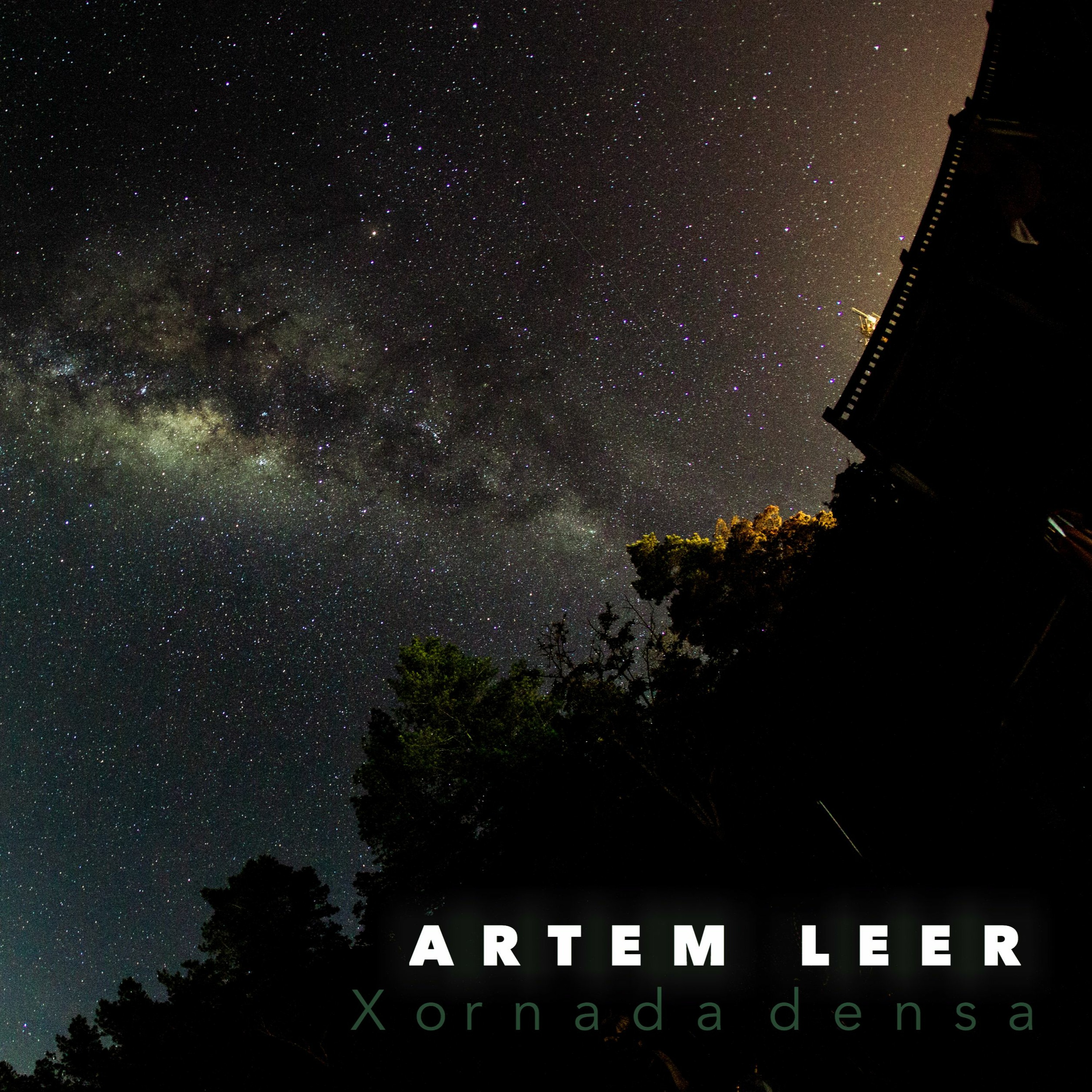 Artem Leer - Xornada Densa