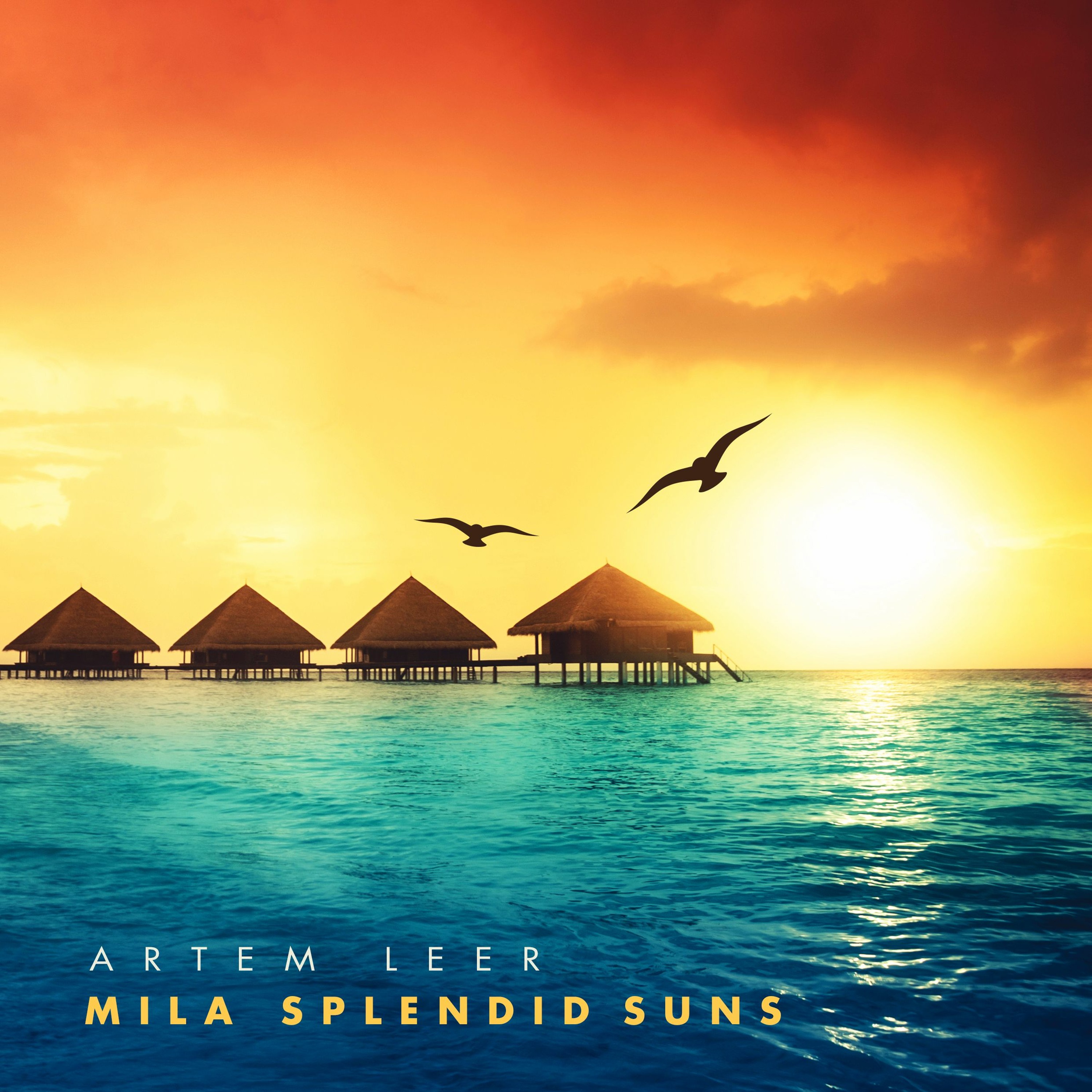 Artem Leer - Mila Splendid Suns
