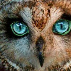 Dj nRn - Shot Shot Shot