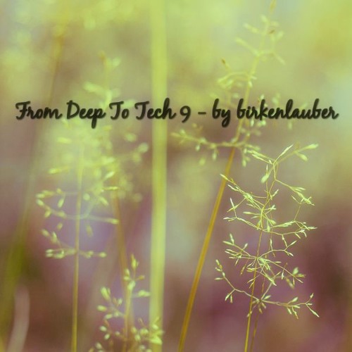 From Deep To Tech 9 - by birkenlauber