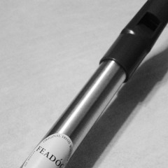 Last of the Wilds - Nightwish (tin whistle cover)