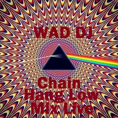 Stream WAD DJ CHAIN HANG LOW (LIVE) by WE ARE DAYANNERZ Listen