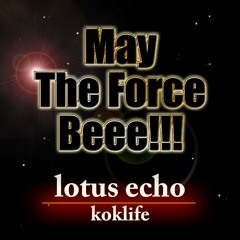 May The Force Beee!!!