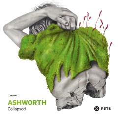 Money (Clip) OUT ON PETS RECORDINGS