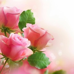 Murotal Qs.Al-anbiya (Nabi-nabi) 43 - 74