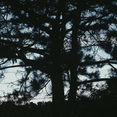 The Moon Song - Karen O (Cover)