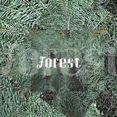Forest (Prod. Omichevsky)