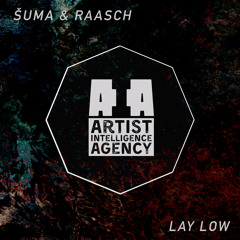 Šuma & Raasch - Lay Low