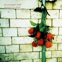 The Pineapple Thief - Subside (2015 mix)(from Variations on a Dream)