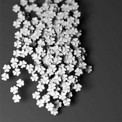 فيـم الـركون