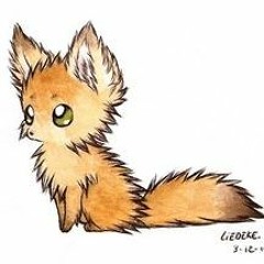 Twinkle_fox chi