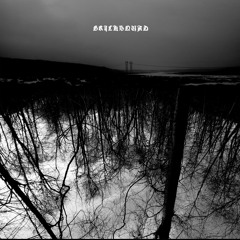 Waka Flocka Flame - Bricksquad (BLAIRE Remix)