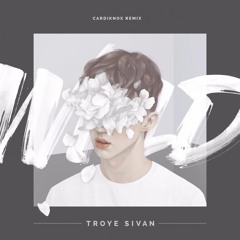 Troye - Wild (Cardiknox Remix)