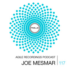 Agile Recordings Podcast 117 with Joe Mesmar