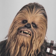 Chewie Needs A Big HUG