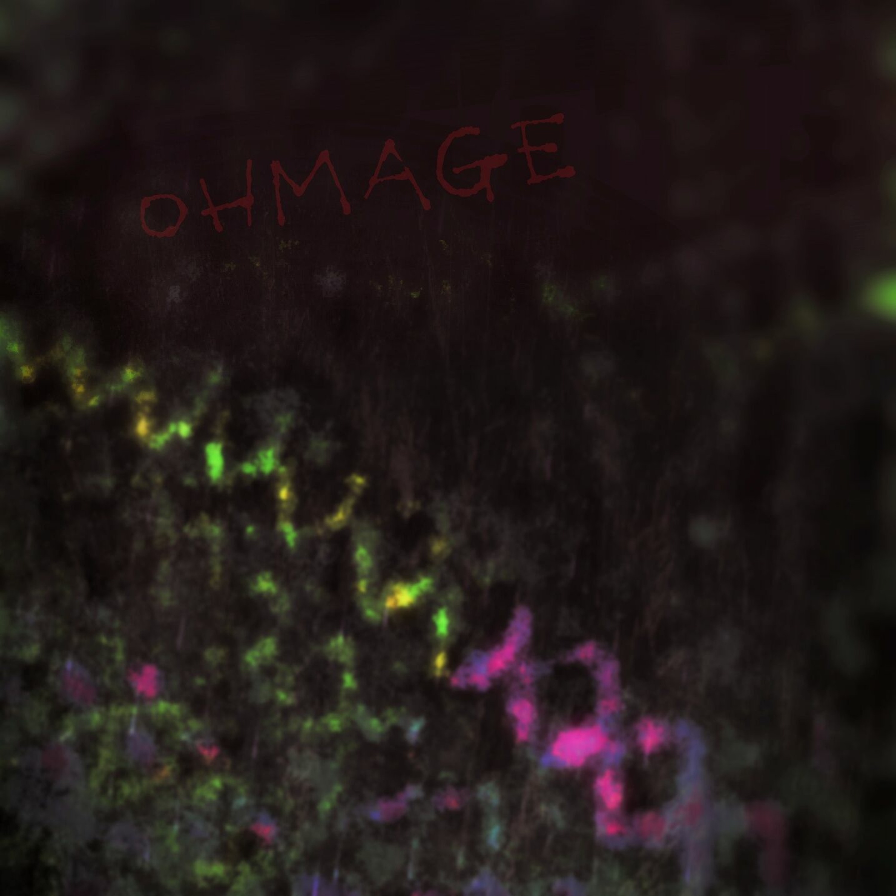 ohmage episode artwork
