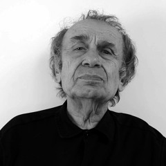 Vito Acconci