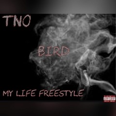 TNO Bird - My Life Freestyle