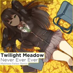 Twilight Meadow - Never Ever After (Matthew Parker Remix)[Rarefy Records]