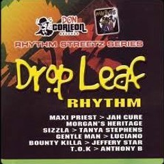 Drop Leaf Riddim 2005 Mix - DJ Smilee