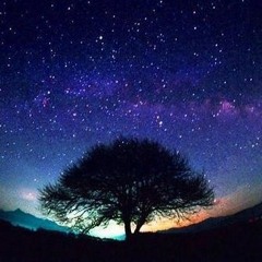 Still Night