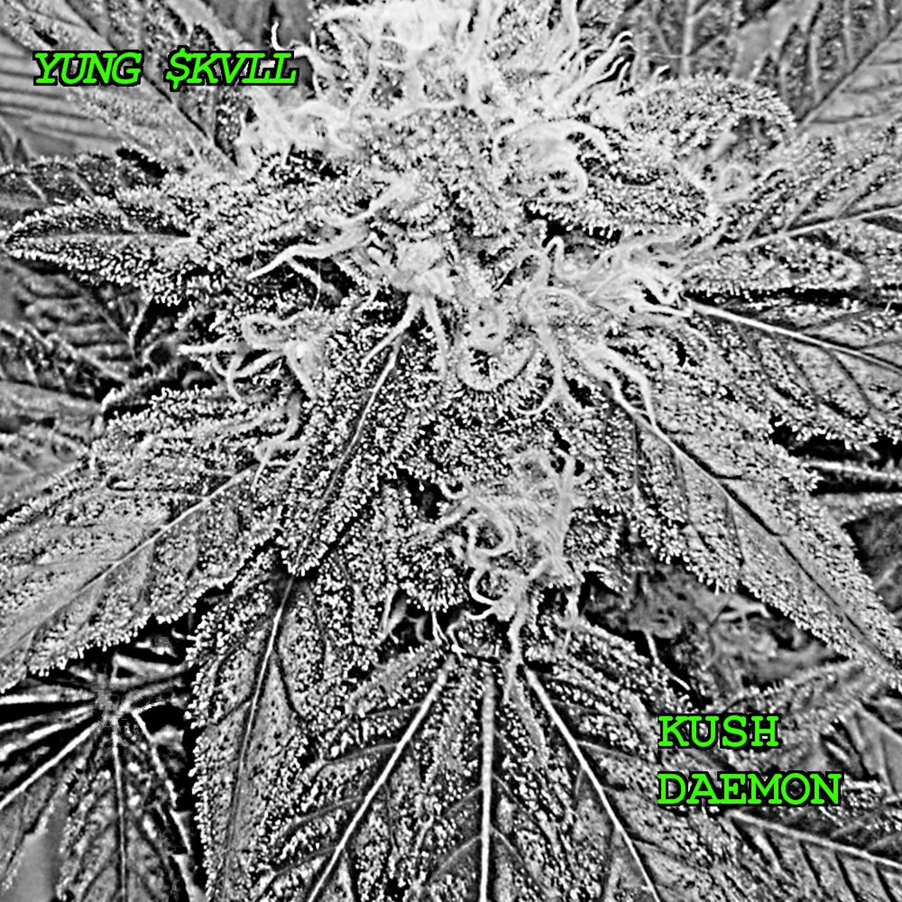 Kush Daemon episode artwork