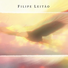 Eagle Transformation - Theme B