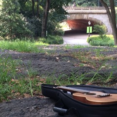 This Is How It Goes * Major Knott