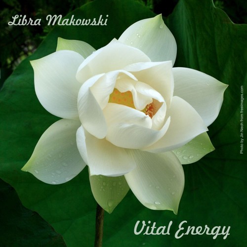 Libra Makowski - Vital Energy