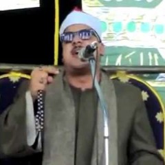 ممدوح عامر | النمل
