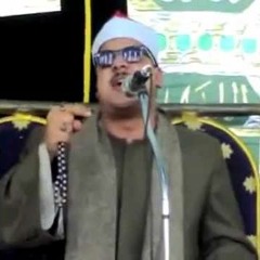 ممدوح عامر | فاطر