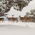 Artwork for The Sleigh Ride Never Ends