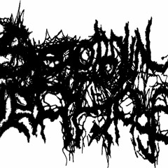 SEROTONIN LEAKAGE PREVIEW TRACKS FROM UPCOMING SPLIT WITH HUMAN PANCAKE