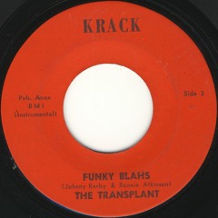THE TRANSPLANT - Funky Blahs