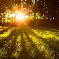 I'll Show You (Justin Bieber)