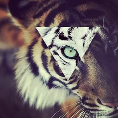 Basshine - The battle of vibes (Preview)