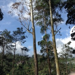 The second you sleep - saybia cover