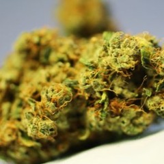 Cali Hippy - New Kush(Prod By DOM WE$T)