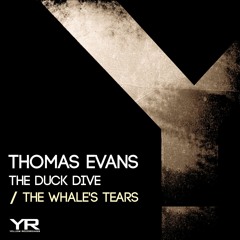 Thomas Evans - The Whales's Tears (Original Mix)