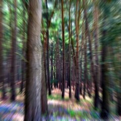 always strive and prosper