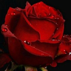معندكش فكره .. نانسى عجرم