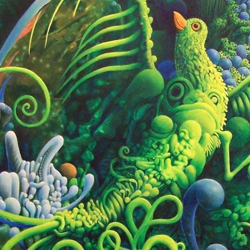 Mr. Käfer X AK420 - Bird of Paradise