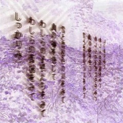 Lil Netzero — ◕Ｆｉｊｉ◕