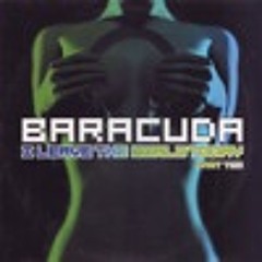 Barracuda - I Leave the World Today (Special D. Remix)