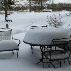 Tohlmayer Feri bácsi és a Fürge Lajhárok - Silent Night